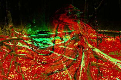 11. März 2011 - Ulrike Kirschner - Array auf - Array - 11. März 2011 - Ulrike Kirschner - Array auf - Array -