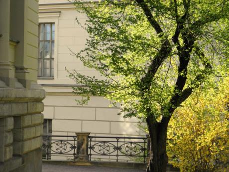 Frühling am Universitätsring in Halle / Saale (1) - Wolfgang Bergter - Array auf Array - Array - Frühling am Universitätsring in Halle / Saale (1) - Wolfgang Bergter - Array auf Array - Array -