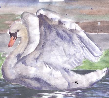 Aufwachender Schwan - Moor Alfi - Array auf Array - - Array Aufwachender Schwan - Moor Alfi - Array auf Array - - Array