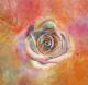 DekoRose - Claudia Gründler - DigitaleKunst auf - Abstrakt-Rosen-Stillleben-Sommer - DekoRose - Claudia Gründler - DigitaleKunst auf - Abstrakt-Rosen-Stillleben-Sommer -