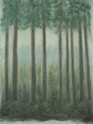 Tannenwald - Robert Schiff - Array auf Array - Array - Array Tannenwald - Robert Schiff - Array auf Array - Array - Array