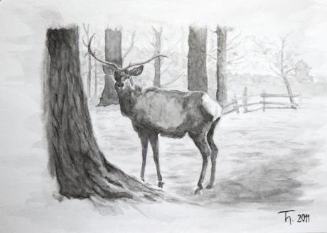 Reh - Thomas Honermont - Array auf Array - Array - Array Reh - Thomas Honermont - Array auf Array - Array - Array