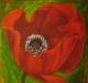 Mohnblume - Monika Ciesielski - Acryl auf Leinwand - Mohn - Mohnblume - Monika Ciesielski - Acryl auf Leinwand - Mohn -