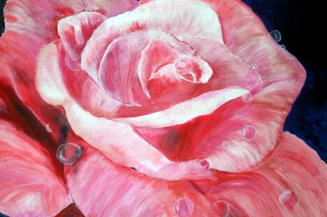 Rose - marion kapur - Array auf Array - - Array Rose - marion kapur - Array auf Array - - Array