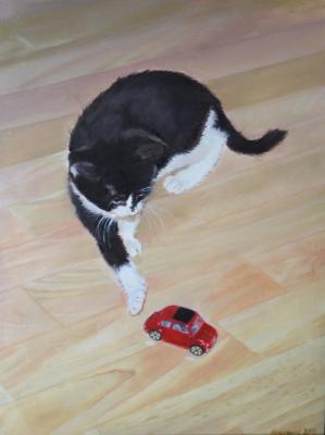 spielendes Kätzchen - Thomas Honermont - Array auf Array - Array - Array spielendes Kätzchen - Thomas Honermont - Array auf Array - Array - Array