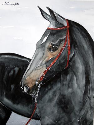 Schwarzer Hengst - Sadettin Canpolat - Array auf Array - Array - Array Schwarzer Hengst - Sadettin Canpolat - Array auf Array - Array - Array