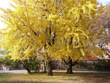 Nizza - Mark Hallstein - Array auf - Array - Nizza - Mark Hallstein - Array auf - Array -