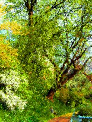 Frühlingsimpressionen - Parklandschaft in Bremen - Wolfgang Bergter - Array auf - Array - Frühlingsimpressionen - Parklandschaft in Bremen - Wolfgang Bergter - Array auf - Array -