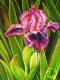 Iris Rose Harmony - Simone Wilhelms - Ãl auf Leinwand - Blumen-Stillleben - Naturalismus Iris Rose Harmony - Simone Wilhelms - Ãl auf Leinwand - Blumen-Stillleben - Naturalismus
