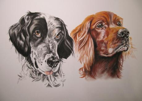 Zwei Hundeportraits in Pastellkreide - Gaby Lukas - Array auf Array - Array - Zwei Hundeportraits in Pastellkreide - Gaby Lukas - Array auf Array - Array -