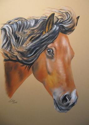 Pferdeportrait in Pastell - Gaby Lukas - Array auf Array - Array - Pferdeportrait in Pastell - Gaby Lukas - Array auf Array - Array -