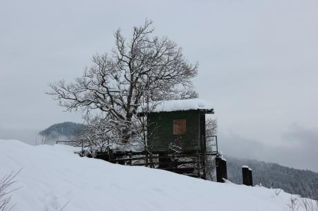 Reit im Winkel_01 - Roman Wuckert - auf - Array - Reit im Winkel_01 - Roman Wuckert - auf - Array -