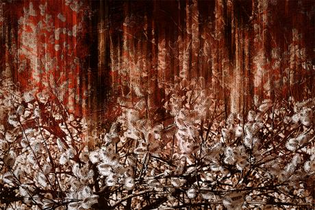 Phasenverschiebung - Michael Guntenhöner - Array auf  - Array - 