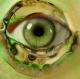 green eye - Roland Benner - - auf - Portrait - green eye - Roland Benner - - auf - Portrait -