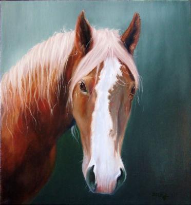 Pferd - Irina dovgan - auf - Array - Pferd - Irina dovgan - auf - Array -