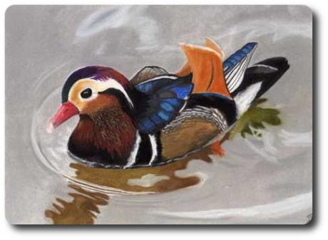 VogelART Mandarinente - Askara Jinn - Array auf - Array - VogelART Mandarinente - Askara Jinn - Array auf - Array -