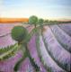 Lavendel - Elisabeth Haslauer - Acryl auf Leinwand - Landschaft - Lavendel - Elisabeth Haslauer - Acryl auf Leinwand - Landschaft -