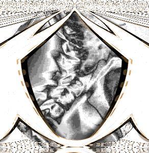 Die Last des Lebens - Susann Mueller - Array auf - Array - Die Last des Lebens - Susann Mueller - Array auf - Array -