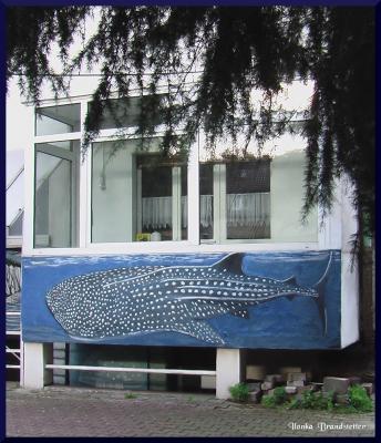 Walhai - Ilonka Brandstetter - auf - Array - Walhai - Ilonka Brandstetter - auf - Array -