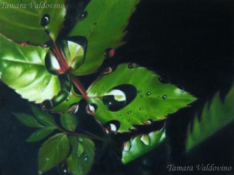 One day after the rainII - Tamara Valdovino - auf Array - Array - One day after the rainII - Tamara Valdovino - auf Array - Array -