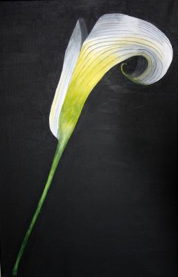 Calla - Michelle Zeggel (mimstract) - Array auf Array - Array - Array Calla - Michelle Zeggel (mimstract) - Array auf Array - Array - Array