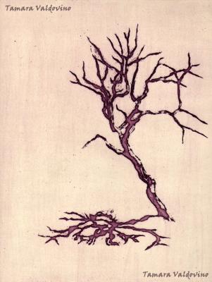 My shadow....always. - Tamara Valdovino - Array auf - Array - My shadow....always. - Tamara Valdovino - Array auf - Array -