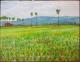 Reisfelder / Kambodscha - peter paint - Acryl auf Leinwand - Landschaft - Impressionismus Reisfelder / Kambodscha - peter paint - Acryl auf Leinwand - Landschaft - Impressionismus