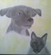 ---Kira und Silver - Nancy Röhl - Bleistift-Kohle auf - Hunde-Katzen - ---Kira und Silver - Nancy Röhl - Bleistift-Kohle auf - Hunde-Katzen -