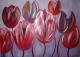 Tulpen uit Amsterdam IV - Aleksandra Schoenfeld - Acryl auf Leinwand - Fantastisch-Blumen-Hoffnung-Liebe - Tulpen uit Amsterdam IV - Aleksandra Schoenfeld - Acryl auf Leinwand - Fantastisch-Blumen-Hoffnung-Liebe -