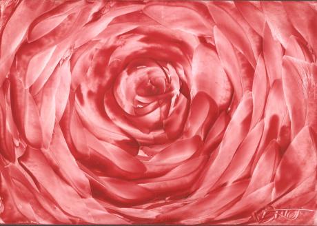 02-02 - Dubravka Topic - Array auf - Array - 02-02 - Dubravka Topic - Array auf - Array -