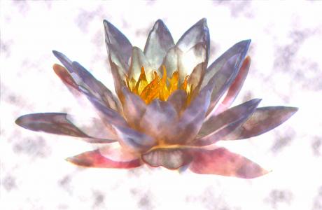 --Seerose- - Karlheinz Milde - Array auf - Array - --Seerose- - Karlheinz Milde - Array auf - Array -