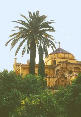 ---Cordoba - Karlheinz Milde - Array auf - Array - ---Cordoba - Karlheinz Milde - Array auf - Array -