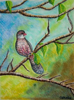 Frühlingzwitschern - Claudia Diaz - Array auf Array - Array - Frühlingzwitschern - Claudia Diaz - Array auf Array - Array -