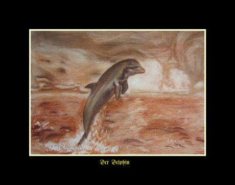 Der Delphin - Vincenzo Palanga - auf - - Der Delphin - Vincenzo Palanga - auf - -