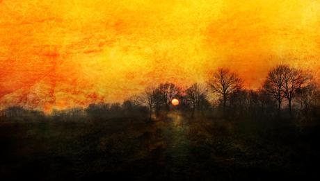 Sonnenuntergang - Anke Brehm - Array auf - Array - Sonnenuntergang - Anke Brehm - Array auf - Array -