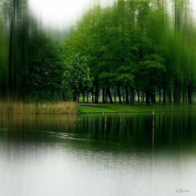 Stille am See - Anke Brehm - Array auf  - Array - 