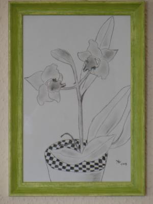 a present for mother-in-law - Alexandra Heim - Array auf Array - Array - a present for mother-in-law - Alexandra Heim - Array auf Array - Array -