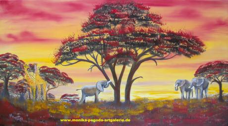 Sonnenuntergang - Monika Pogoda - Array auf Array - Array - Array Sonnenuntergang - Monika Pogoda - Array auf Array - Array - Array