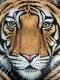 Tiger´s Last Roar - Nicole Zeug - Acryl auf - Raubkatzen - Realismus Tiger´s Last Roar - Nicole Zeug - Acryl auf - Raubkatzen - Realismus