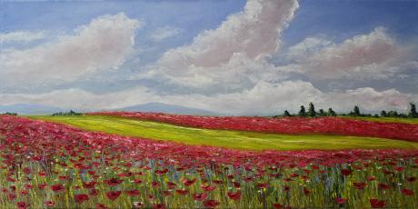 Mohnfeld - Alexander Majer - Array auf Array -  - Array