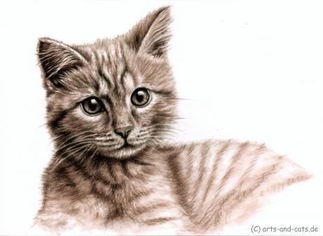 Kätzchen - Nicole Zeug - Array auf - Array - Kätzchen - Nicole Zeug - Array auf - Array -