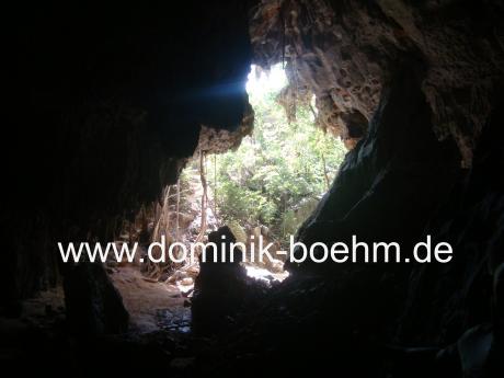Flucht aus der Höhle - auf Leinwand - Dominik Böhm - auf - Array - Flucht aus der Höhle - auf Leinwand - Dominik Böhm - auf - Array -