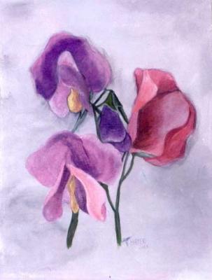 Wicken - Inge Mayer - Array auf Array - Array - Array Wicken - Inge Mayer - Array auf Array - Array - Array