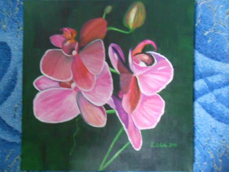 Rosa Orchideenblüten - Sandra Sobota - Array auf Array - Array - Rosa Orchideenblüten - Sandra Sobota - Array auf Array - Array -