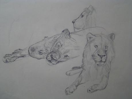 3 Löwen - Sylvia Rudolph - Array auf - Array - 3 Löwen - Sylvia Rudolph - Array auf - Array -