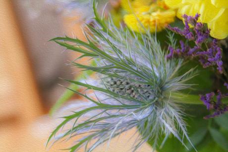 Blüte - Farbschatten Fotografie - Array auf - Array - Blüte - Farbschatten Fotografie - Array auf - Array -