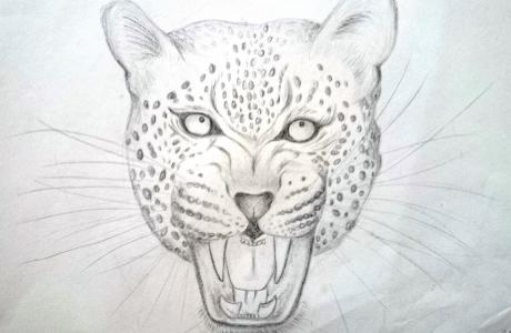 Leopard - Leandra Born - Array auf - Array - Leopard - Leandra Born - Array auf - Array -