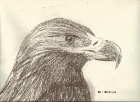 Adler - Ralf König - Array auf - Array - Adler - Ralf König - Array auf - Array -