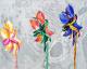 3 x borretsch - Sabine Kaufmann - Acryl auf Leinwand - Blumen - 3 x borretsch - Sabine Kaufmann - Acryl auf Leinwand - Blumen -