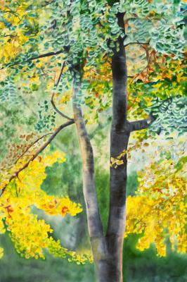 GIMKO - krzis-lorent frederique - Array auf Array - Array - GIMKO - krzis-lorent frederique - Array auf Array - Array -